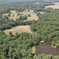 Premier Hunting Fishing Acreage in Henry County images 2