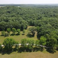 Premier Hunting Fishing Acreage in Henry County images 3