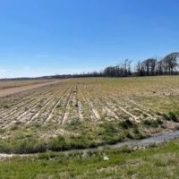 83.58 Acres in Tallahatchie County in Charleston MS images 3
