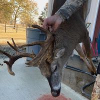 Martha s Ridge Tract 4 - 100 Acres for Sale Eastern AR images 5