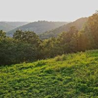 Birds Eye View images 3