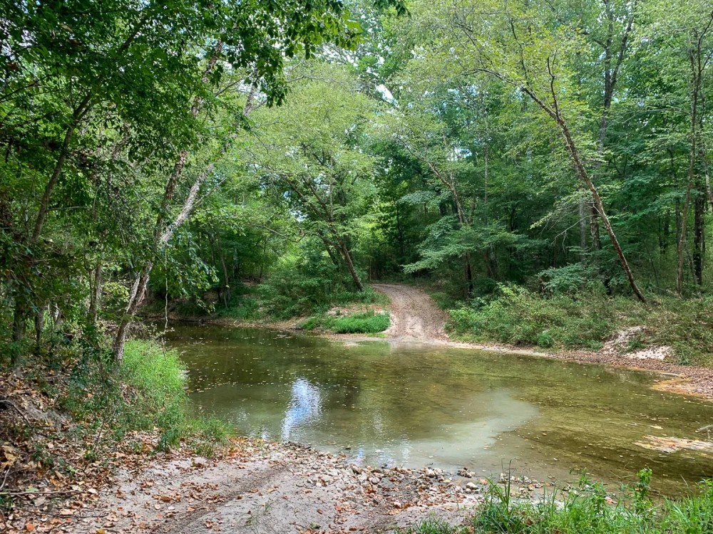 388 Acres The Game Preserve featured image