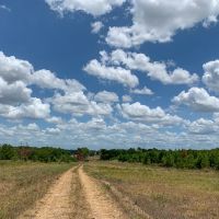 388 Acres The Game Preserve images 3