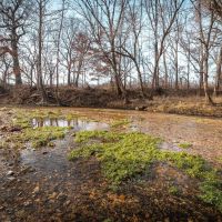Buffalo Creek Lodge 149 images 4