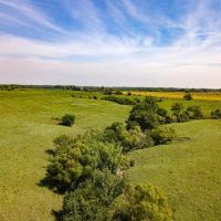 Beautiful Kansas Native Grass