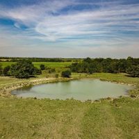 Beautiful Kansas Native Grass images 2