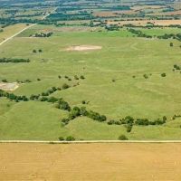 Beautiful Kansas Native Grass images 4