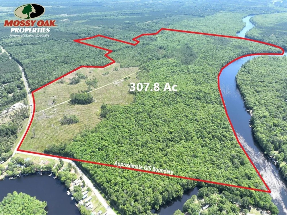 307 Acre St.Marys River Tract for Sale in Camden County GA featured image