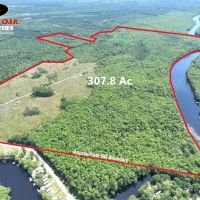 307 Acre St.Marys River Tract for Sale in Camden County GA
