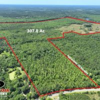 307 Acre St.Marys River Tract for Sale in Camden County GA images 2