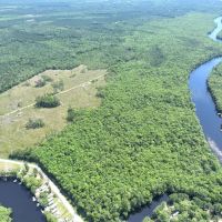 307 Acre St.Marys River Tract for Sale in Camden County GA images 3