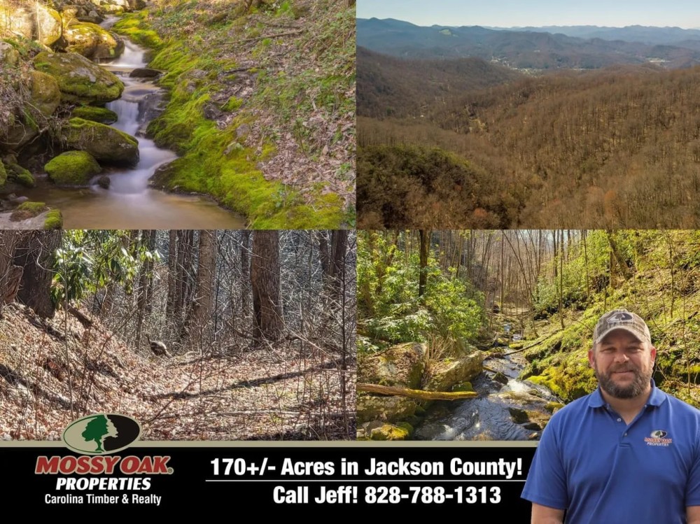 169 - Acres - WATERFALL TRACT Bordering U.S. Forest Service featured image