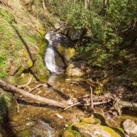 169 - Acres - WATERFALL TRACT Bordering U.S. Forest Service images 3
