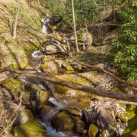 169 - Acres - WATERFALL TRACT Bordering U.S. Forest Service images 5