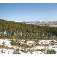 Recreational Land images 3