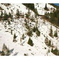 Recreational Land images 5