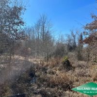 40 ac - WRP Hunting Tract images 2