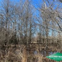 40 ac - WRP Hunting Tract images 3