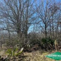 40 ac - WRP Hunting Tract images 4