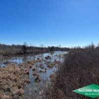 40 ac - WRP Hunting Tract images 5