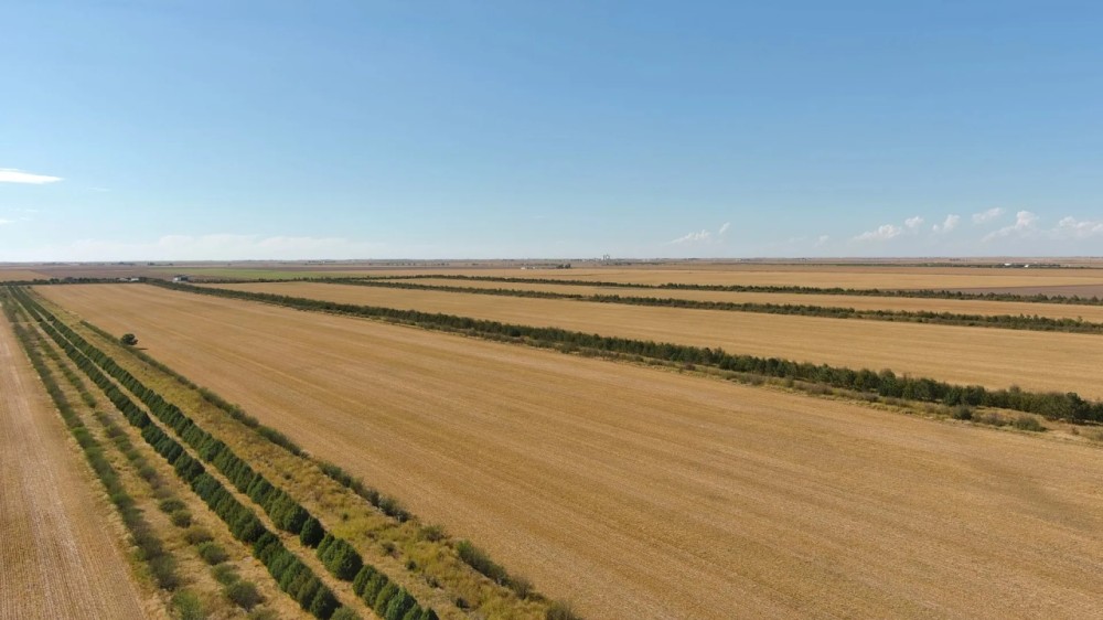Holyoke Dryland Hunting featured image