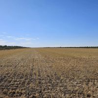 Holyoke Dryland Hunting images 2