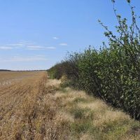 Holyoke Dryland Hunting images 3