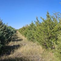 Holyoke Dryland Hunting images 4
