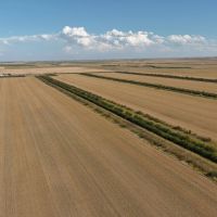 Holyoke Dryland Hunting images 5