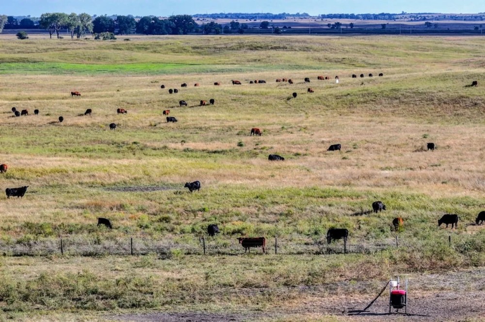 400 Acres more or less - Tract 3 Antelope County Nebraska featured image