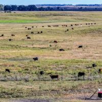 400 Acres more or less - Tract 3 Antelope County Nebraska