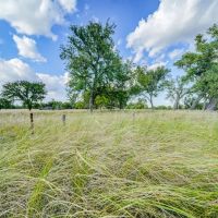 400 Acres more or less - Tract 3 Antelope County Nebraska images 5