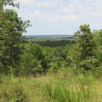 Private Recreational Hunting Spot in Hughes County OK 133 AC images 2