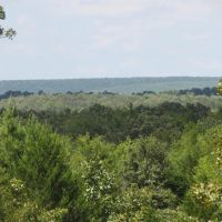 Private Recreational Hunting Spot in Hughes County OK 133 AC images 3