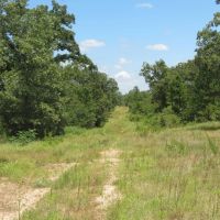 Private Recreational Hunting Spot in Hughes County OK 133 AC images 5