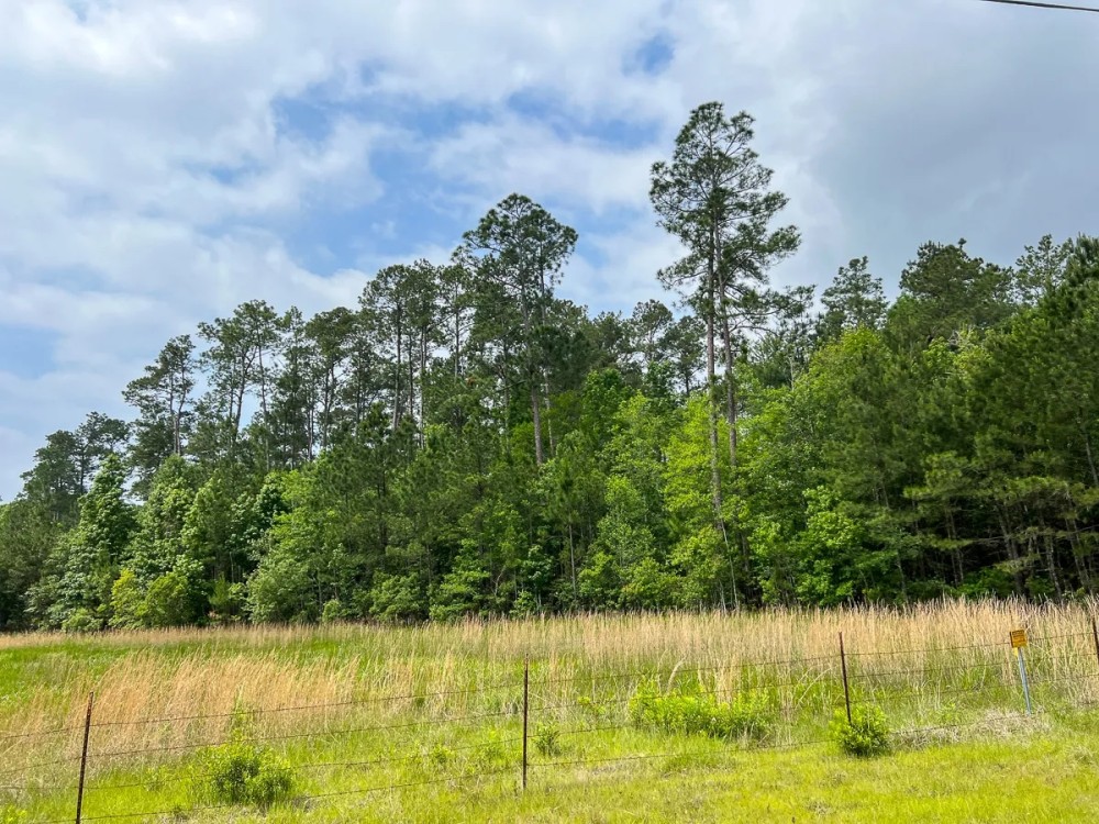 47 Acres Elise Gore Lane C5 Silsbee Stake Hunting Land for Sale
