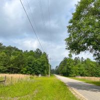 47 Acres Elise Gore Lane C-5 Silsbee Stake images 2