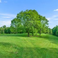 45.82 acres of prime land located in Macon County Tennessee images 3