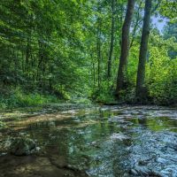45.82 acres of prime land located in Macon County Tennessee images 4