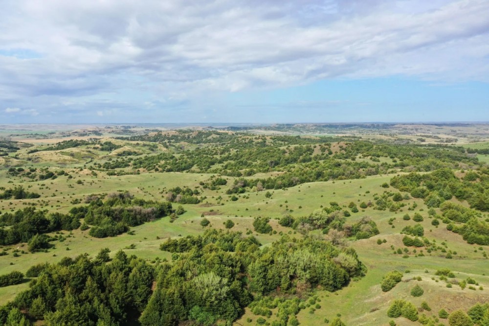 Custer County Canyons and Wildlife-Tract 2 featured image