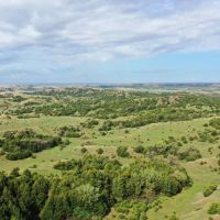 Custer County Canyons and Wildlife-Tract 2