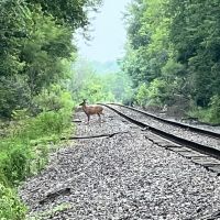 18.2 Acres Warrick County