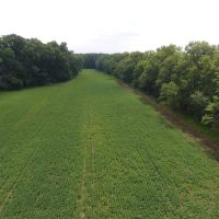 18.2 Acres Warrick County images 2