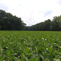 18.2 Acres Warrick County images 4