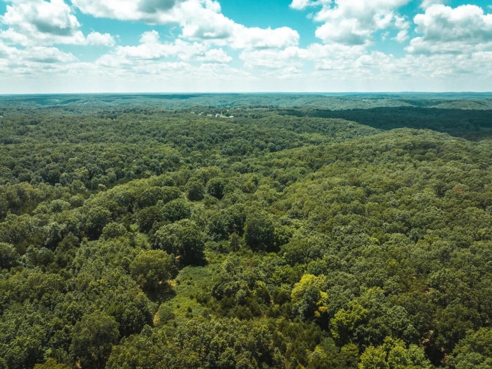 Camp Creek Tract 2 featured image
