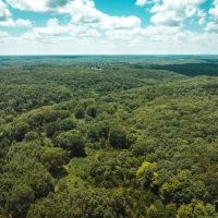 Camp Creek Tract 2