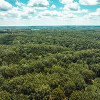 Camp Creek Tract 2 images 4