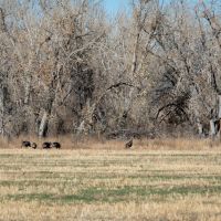 Fountain Creek Ranch images 2