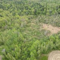 Over 200 Acre Parcel on the Mighty Kennebec images 4