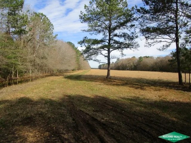 1294 ac - Ranch Development Potential Recreational Timberland featured image